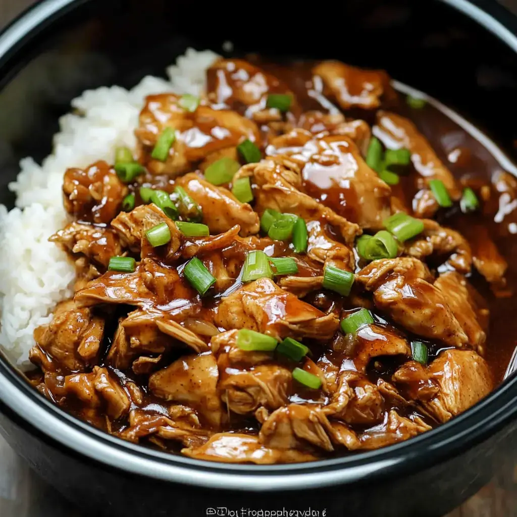 A bowl of shredded chicken in a savory brown sauce, served over white rice and garnished with chopped green onions.